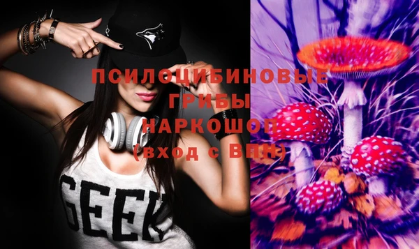 ALPHA PVP Алексин