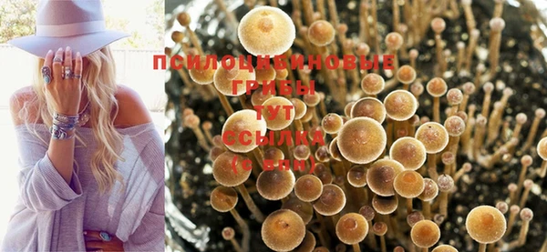амф Алексеевка