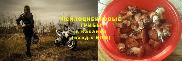 ALPHA PVP Алексин
