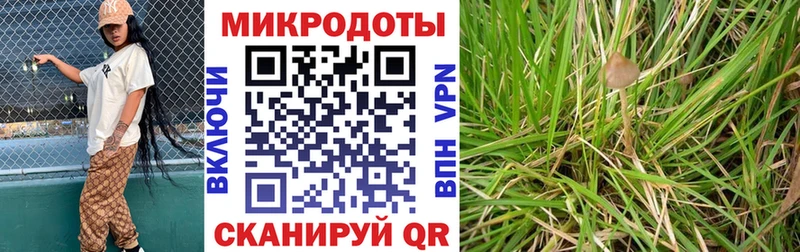Псилоцибиновые грибы GOLDEN TEACHER  Ивдель 